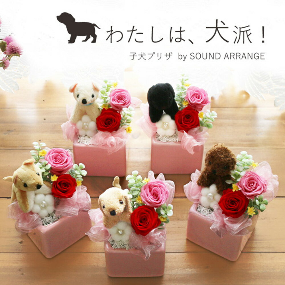 Rakuten - 【ポイント3倍】 犬 かわいい プリザーブドフラワー 母の日 遅れてごめんね 長持ち 妻 花 プレゼント 誕生日 ギフト 退職祝い 送別 定年 送別会 ブリザードフラワ- お祝い バラ 送料無料 ぬいぐるみ 女性 お誕生日 内祝 お礼 開店祝い お見舞い 快気祝 子犬プリザ