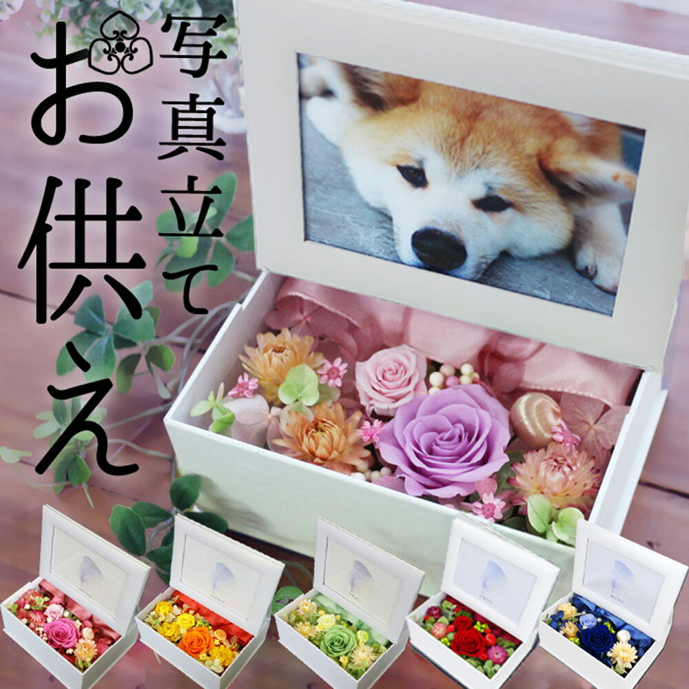 【写真プリントサービス無料】 ペット お悔やみ 花 プリザーブドフラワー ペット お供え 犬 お供え 猫 お供え 猫 お悔やみギフト お供え 贈り物 ペット供養 虹の橋 写真立て 写真 贈り物 ギフト 花 ブリザードフラワ- ブリザード ペット用 御供 仏花 PB