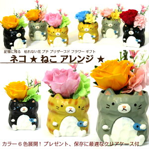 ネコ プリザーブドフラワー 誕生日 卒業 卒園 先生 プレゼント バレンタインデー 枯れない花 アレンジ 花 記念日 還暦 米寿 喜寿 お祝い お見舞 退職祝 退院祝 ペット 供養 発表会 お供え ペット ロシアンブルー コラット シャルトリュー 黒 クロネコ 花言葉 誕生花