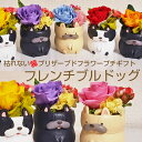 ブルドッグ フレンチブルドッグ 犬 DOG イヌ 枯れない花 本物のバラをあしらった プリザーブドフラワー アレンジメント 戌年の方への贈り物に 誕生日 プレゼント 花 記念日 ペット供養 御供 敬老の日