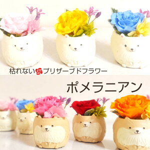 送料無料 犬 DOG イヌ ポメラニアン 枯れない 花 本物のバラをあしらった プリザーブドフラワー アレンジメント 戌年の方への贈り物に誕生日 プレゼント 記念日 還暦 米寿 喜寿 お祝 ペット供養 御供