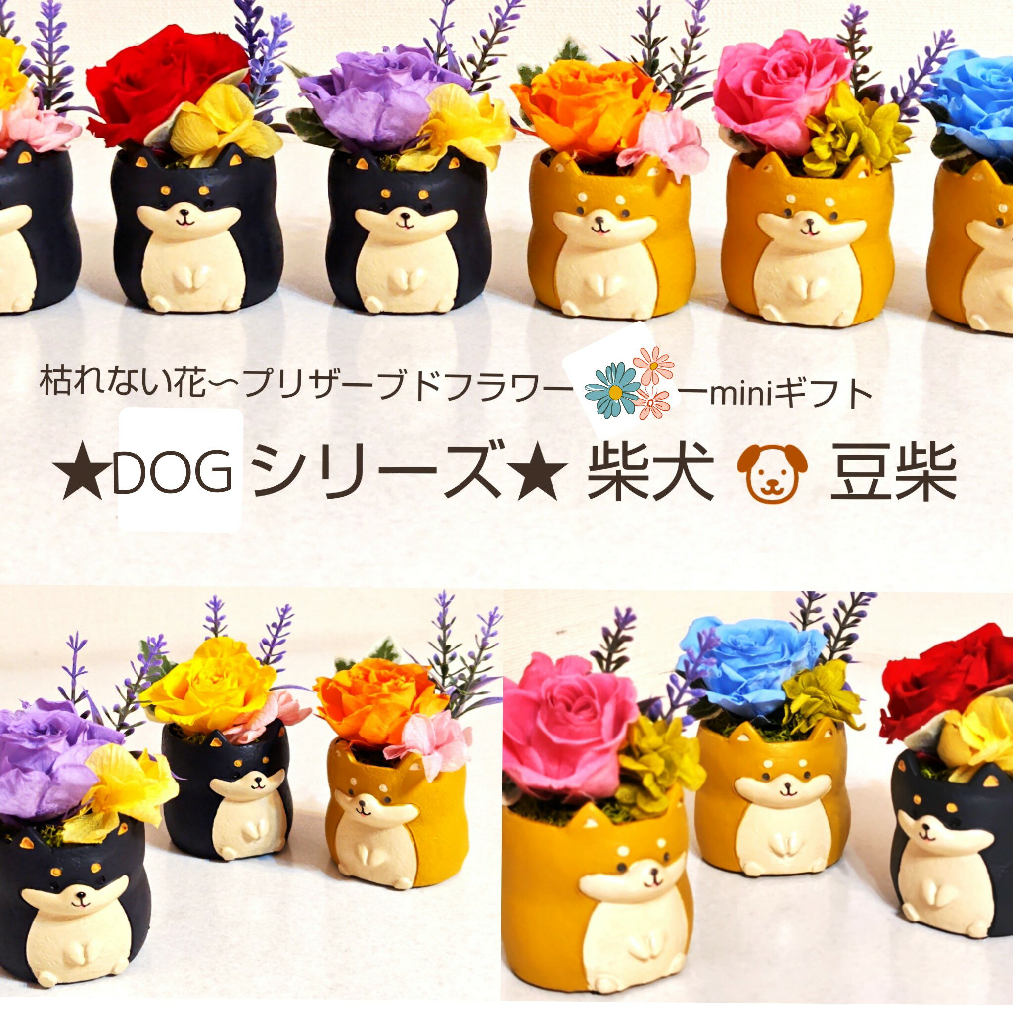 プリザーブドフラワー 誕生日 敬老の日 プレゼント 豆柴 柴犬 犬 マメシバ 小さい 花 ギフト ミニサイズ アレンジメント 枯れない花 プレゼント バラ 送料無料 誕生日プレゼント 結婚記念日 プレゼント お祝い ギフト お見舞 ペット お供え ペット供養のサムネイル