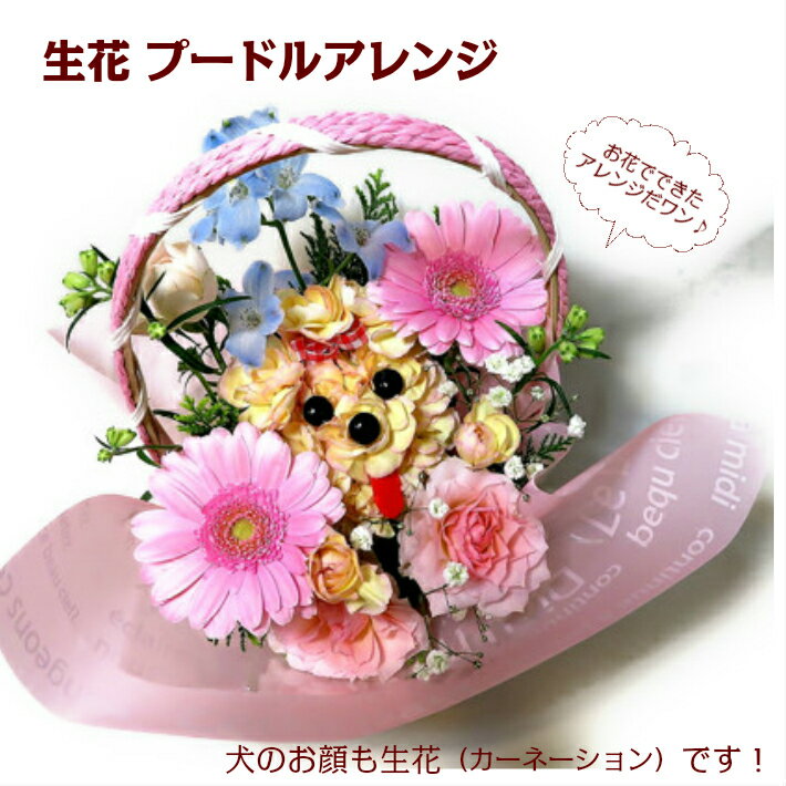 生花 プードル アレンジ 誕生日 卒業 卒園 先生 プレゼント 花 結婚記念日 バレンタインデー 花 お歳暮 ギフト 退職祝 結婚祝 記念日 友達 金婚式 退職 結婚 バラ カスミソウ 出産祝 発表会 お見舞い お供え ペット供養 カード 花言葉 誕生月 誕生花 犬 動物