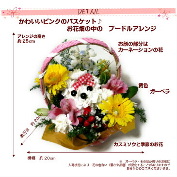 生花 プードル アレンジ 誕生日 母の日 プレゼント カーネーション 母の日 早割 父の日 還暦 米寿 喜寿 記念日 癒し 友達 金婚式 退職 結婚 バラ カスミソウ 出産祝 発表会 お見舞い お供え ペット供養 早割 カード 花言葉 誕生花 犬 動物