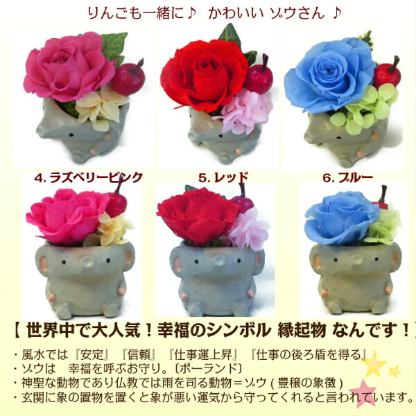 楽天市場 ぞうさん プリザ アレンジ プリザーブドフラワー 母の日 プレゼント カーネーション 母の日 早割 父の日 花 誕生日 プレゼント 花 還暦 米寿 喜寿 義母 義父 結婚 記念日 お祝い お見舞 退職祝 退院祝 ペット供養 縁起物 開運 風水 花言葉 花アトリエ 楽天市場 ぞうさん プリザ アレンジ プリザーブドフラワー 母の日 プレゼント カーネーション 母の日 早割 父の日 花 誕生日 プレゼント 花 還暦 米寿 喜寿 義母 義父 結婚 記念日 お祝い お見舞 退職祝 退院祝 ペット供養 縁起物 開運 風水 花言葉 花アトリエ