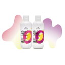 ハロー ピンク カラーシャンプー310g&ハロー パープル カラーシャンプー310g(4)
