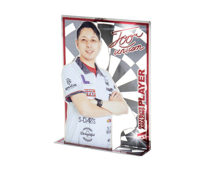 【メール便OK】【送料無料】ダーツ ダーツ雑貨【ダーツライブ】ダーツライブ プレ...