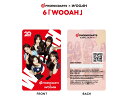 【メール便OK】【送料無料】ダーツ ゲームカード【フェニックス×WOOAH】WOOAH