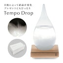 100%ヒャクパーセント Tempo Drop テンポ ドロップ 御祝い プレゼント ストームグラス 母の日 父の日 敬老の日 ギフト クリスマス  冒険少年 あばれる君