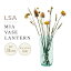 ڥȥ꡼P4 4/24-27LSA MIA ߥ MIA VASE / LANTERN H31cm ١ʲӡ ꥵ륬饹