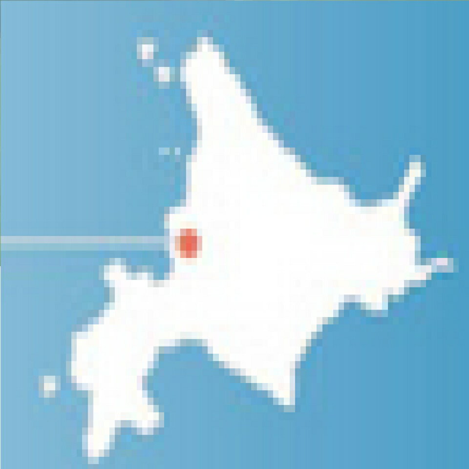 Shop icon