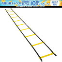 【1日はポイント15倍!要エントリー】 サンラッキー Sunlucky トレーニング用ラダー AGL100