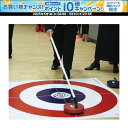 【30日はポイント10倍・1日はエントリーで15倍】 サンラッキー Sunlucky フロアカール サポートスティック 1本 RSP100