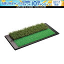 【1日はポイント15倍!要エントリー】 タバタゴルフ Tabata GOLF ゴルフ 2way アプローチパンチャー GV0260