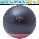 【1日はポイント15倍!要エントリー】 ハタチ HATACHI ジムボールStayPlus 65cm NH3621