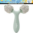 【1日はポイント15倍!要エントリー】 ハタチ HATACHI RW リセットローラー SHAPE NH3760