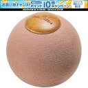 【1日はポイント15倍!要エントリー】 ハタチ HATACHI RW リセット MOON NH3762