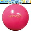 【1日はポイント15倍!要エントリー】 ハタチ HATACHI パークゴルフボール ライト PH3411 64