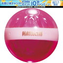 【1日はポイント15倍!要エントリー】 ハタチ HATACHI パークゴルフ ボール パワーダイヤ PH3812 64