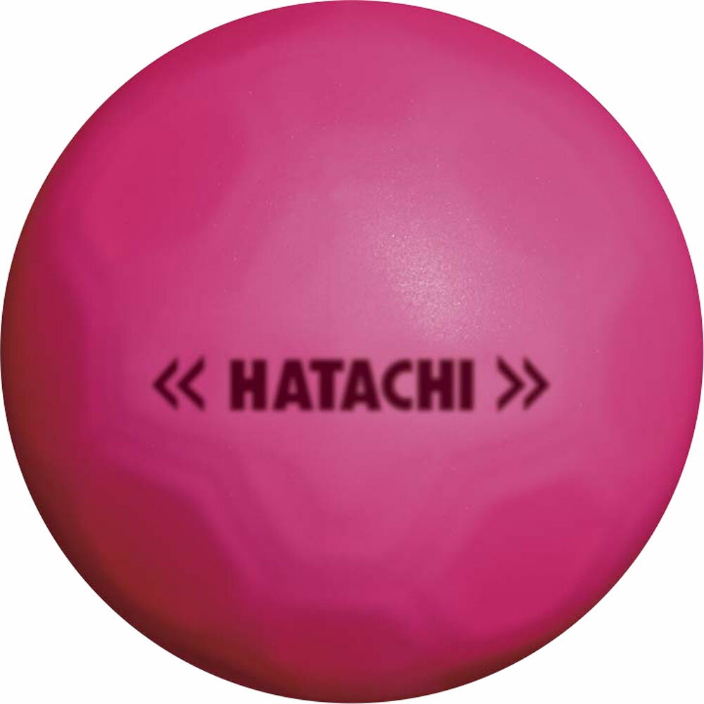 【4日20時から全品3%OFFクーポン&ポイントアップ】 HATACHI ハタチ シュートボール グラウンド・ゴルフ 忠実構造ボール BH3460 64