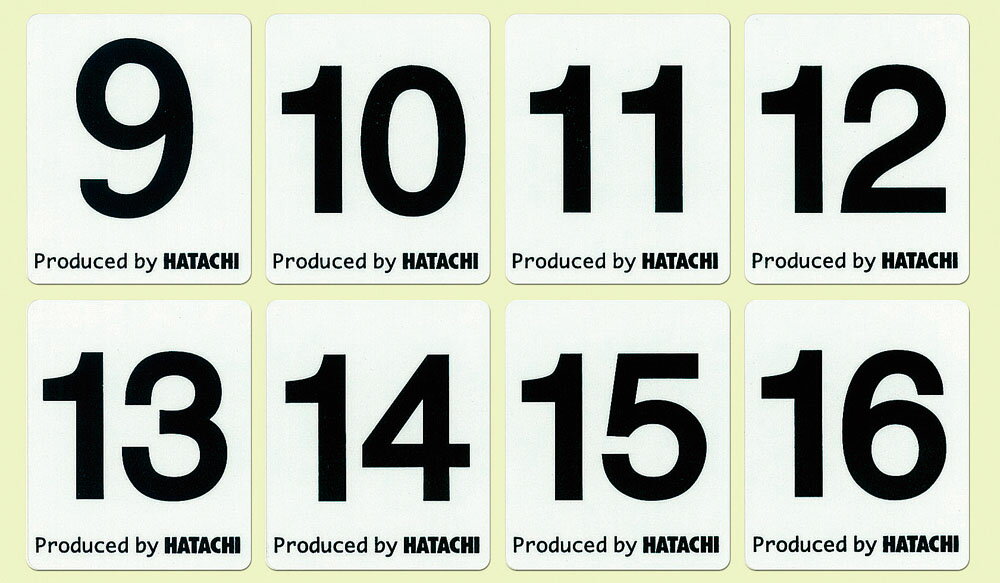 16ޤMAX800OFFݥ&Påס HATACHI ϥ 饦ɥ ȥޥåȥ NO.9-16 BH4009