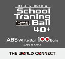 ザ・ワールド・コネクトtheworldconnec 卓球 スクール・トレーニングボール 40+ 100個入り 卓球ボール 練習球 トレ球 部活 DV010