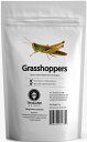 【18日はポイント10倍】 ジェイアールユニーク JR Unique Grasshoppers15g グラスホッパー15g スポーツ TIU0002(4)