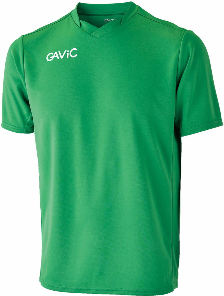 20ϥݥ10ܡ ӥå GAViC å ȥå GA6001 GRN