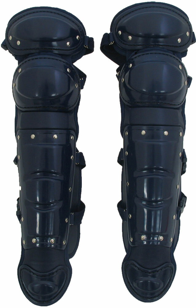 25ϥݥ15ܡ ե륳 FALCON ǯѥեȥܡ륭å㡼쥬 RG-100NV RG100NV