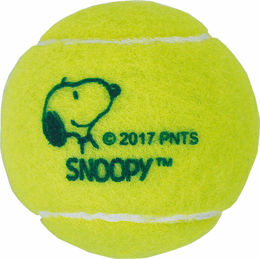 20ϥݥ10ܡ ե륳 FALCON ƥ˥ ̡ԡ SNOOPY żƥ˥ܡ 2P SN450