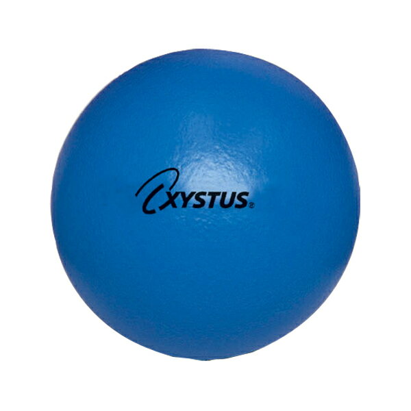 ݡĥҡ㤨֡16ޤǥݥȥåס ȡ饤 TOEI LIGHT եȥեܡ180  ֥롼 ͥ ܡ եȥեܡ ΤŤ ع ΰ  ե ɥå ɥåܡ 鿴 嵻 B7070BפβǤʤ2,526ߤˤʤޤ