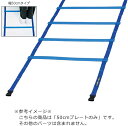 【6日までポイントアップ】 トーエイライト TOEI LIGHT ラダー50cmプレートのみ ラダー ブルー 青 トレーニング 基礎トレ 陸上 サッカー ラグビ...