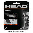 【15日はポイント10倍】 ヘッド HEAD テニス ホーク 6ヶセット 281103 GR