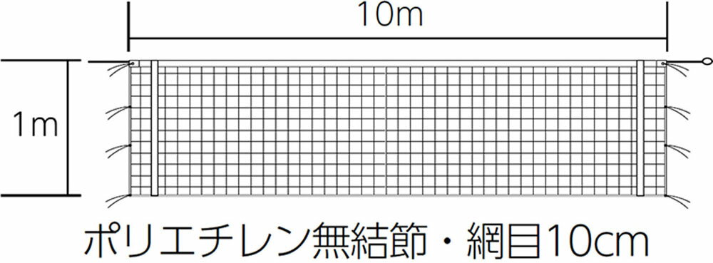 【3日20時からMAX3,000円OFFクーポン&P15倍】 トーエイライト TOEI LIGHT バレーボール 9人制 女子 バレーボールネット 上部のみ白帯...