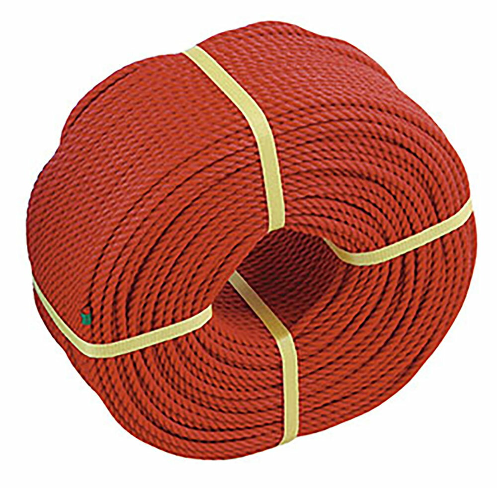 【30日・1日はポイント10倍】 三和体育 グラウンドロープ3mm×200m ロープのみ 赤 学校 体育 部活 授業 ..