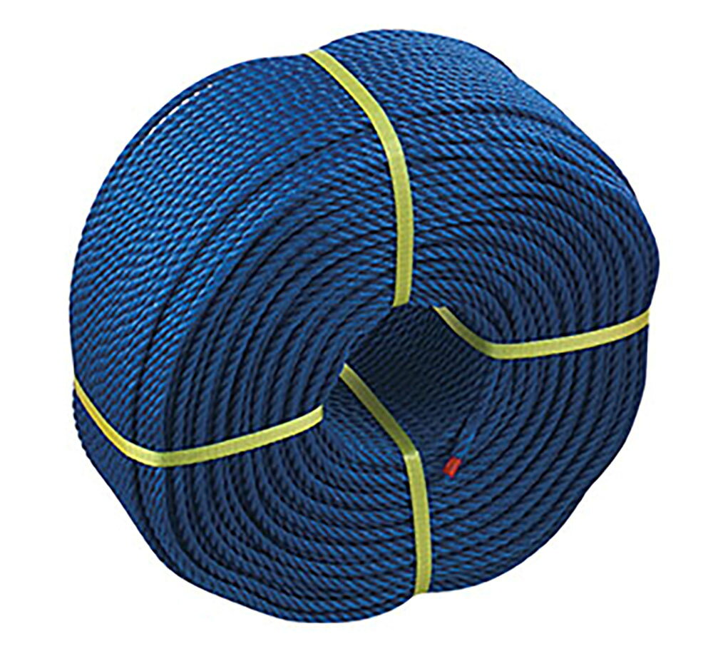 【30日・1日はポイント10倍】 三和体育 グラウンドロープ3mm×200m ロープのみ 青 学校 体育 部活 授業 ..