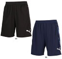 【18日はポイント10倍】 プーマ PUMA サッカー チームカップ TEAMCUP TR ショーツ メンズ 男性 大人 学生 半ズボン 短パン ショートパンツ トレーニング プラクティスパンツ 練習 クラブ 部活 660207