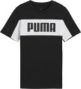 【15日はポイント10倍】 プーマ PUMA ESS BLOCK T シャツ B 687828