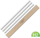 【26日2時までポイント15倍】 ルーメナー LUMENA アウトドア コードレス加湿器 H2 プラス専用フィルター H2PLUSF