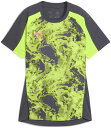 【15日はポイント10倍】 プーマ PUMA サッカー INDIVIDUALBLAZE SS シャツ 659902