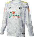 【3日20時からMAX3,000円OFFクーポン&P15倍】 フィンタ FINTA サッカー GDZ L/S グラフィックプラシャツ FT4505