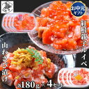 お買い物マラソン期間ポイント+4倍 【12時まで当日出荷】 鮭ルイベ漬け サーモン 山わさび いくら 各180g 4セット(合計8個) 北海道 紅鮭 ルイベ漬 親子ルイベ 親子漬け 函館製造 石狩漬 ホースラディッシュ お中元 ギフト ヤマワサビ(4)