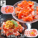 お買い物マラソン期間ポイント+4倍 【12時まで当日出荷】 鮭ルイベ漬け サーモン 山わさび いくら 各180g 3セット (合計6個) 北海道 紅鮭 ルイベ漬...