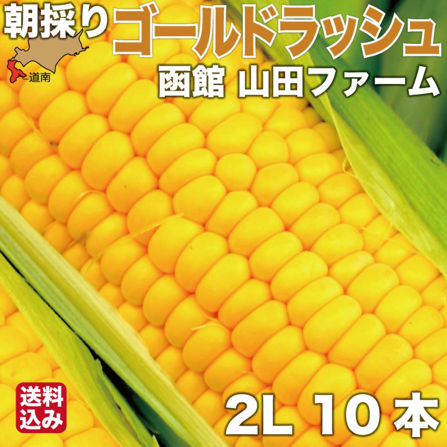 お買い物マラソン期間中ポイント+9倍 北海道最速級出荷 7月下旬より発送 とうもろこし 北海道産 ゴールドラッシュ 2Lサイズ × 10本 朝採り 産地直送 スイートコーン とうきび 函館市 山田ファーム