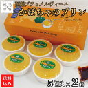 かぼちゃのプリン 北海道ツイーツ (5個入 カラメル) 2セット 有機かぼちゃ お取り寄せ ギフト 函館 プティ・メルヴィーユ 送料無料