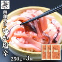 お買い物マラソン期間ポイント+4倍 【12時まで当日出荷】 函館 竹田食品 手造り いか塩辛 250g×3 塩から 冷凍 珍味 海産物 おつまみ 北海道 お土産...