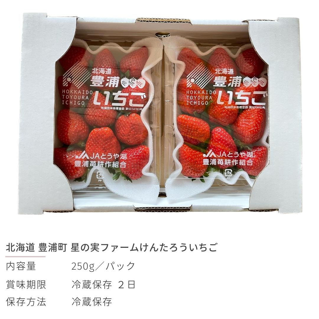 【5-6月 期間限定】けんたろう いちご 250g×2 果物 フルーツ 北海道 豊浦町 星の実ファーム 農園直送 送料無料 2