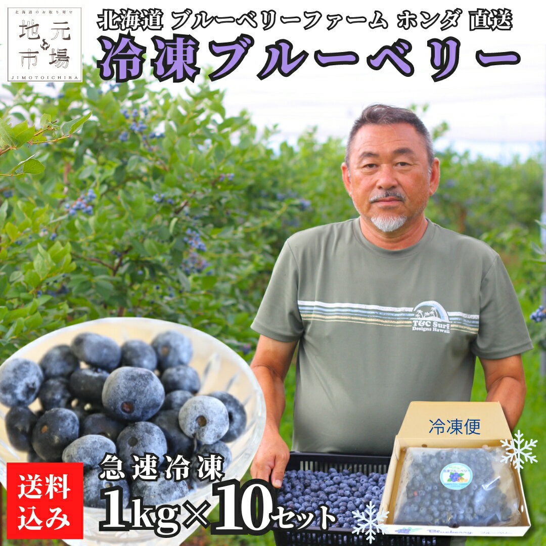 無添加 冷凍ブルーベリー 10kg (1kg×10袋) 冷凍果 フルーツ 北海道 農園直送 函館 ベリーベリーファームホンダ 朝採り 急速冷凍