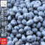 無添加 冷凍ブルーベリー 1kg パック 冷凍果 フルーツ 北海道 農園直送 ベリーベリーファームホンダ 函館市