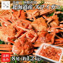 お買い物マラソンP5倍 訳あり ズワイガニ 8尾 (約1.2kg前後) 北海道産 ボイル 姿 小サイズ 噴火湾産 浜茹で 直送 国産 ずわい蟹 かに